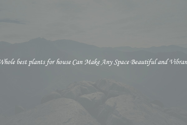 Whole best plants for house Can Make Any Space Beautiful and Vibrant