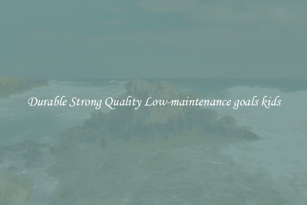Durable Strong Quality Low-maintenance goals kids