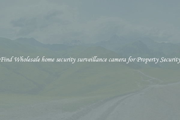 Find Wholesale home security surveillance camera for Property Security