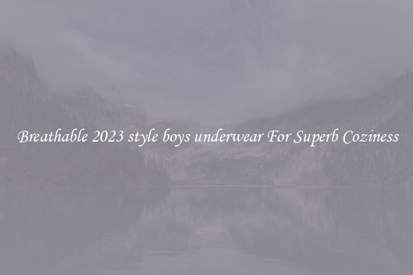 Breathable 2023 style boys underwear For Superb Coziness