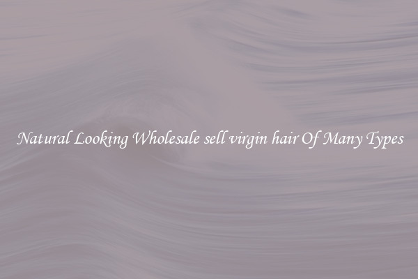 Natural Looking Wholesale sell virgin hair Of Many Types