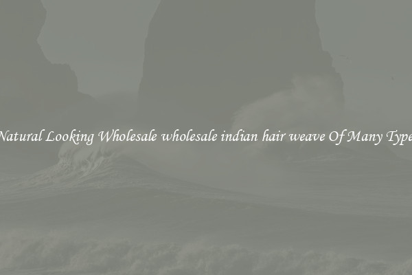 Natural Looking Wholesale wholesale indian hair weave Of Many Types