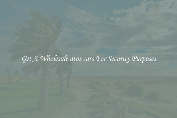 Get A Wholesale atos cars For Security Purposes