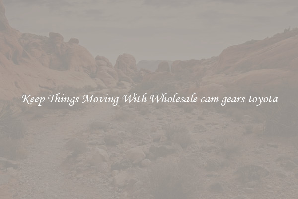 Keep Things Moving With Wholesale cam gears toyota