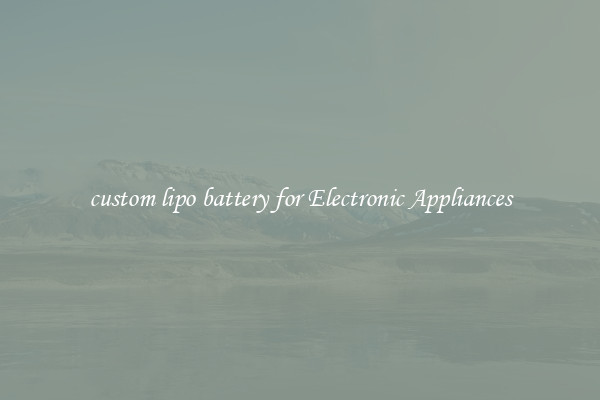 custom lipo battery for Electronic Appliances