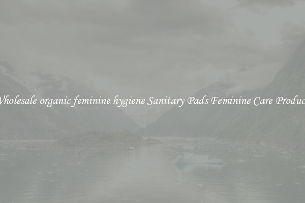 Wholesale organic feminine hygiene Sanitary Pads Feminine Care Products
