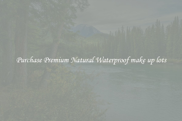 Purchase Premium Natural Waterproof make up lots