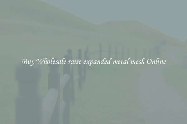 Buy Wholesale raise expanded metal mesh Online