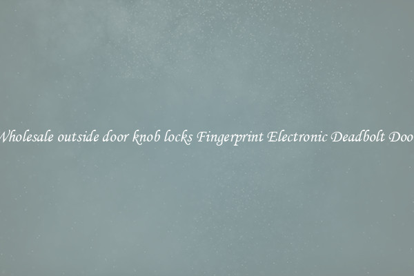 Wholesale outside door knob locks Fingerprint Electronic Deadbolt Door 