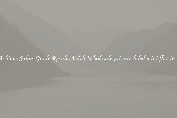 Achieve Salon-Grade Results With Wholesale private label mini flat iron
