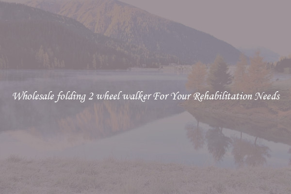 Wholesale folding 2 wheel walker For Your Rehabilitation Needs