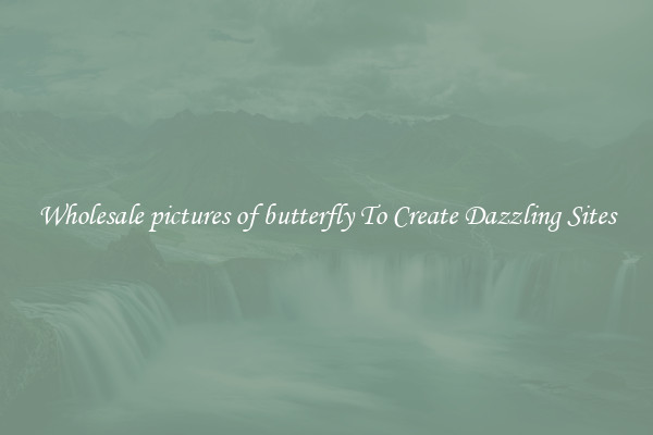 Wholesale pictures of butterfly To Create Dazzling Sites