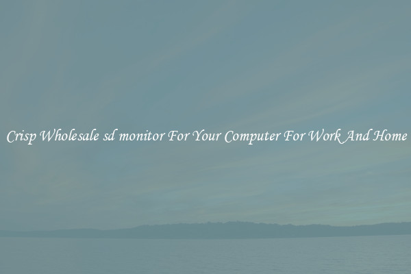 Crisp Wholesale sd monitor For Your Computer For Work And Home