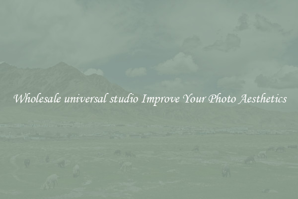 Wholesale universal studio Improve Your Photo Aesthetics