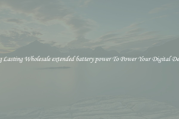 Long Lasting Wholesale extended battery power To Power Your Digital Devices