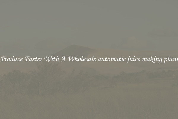 Produce Faster With A Wholesale automatic juice making plant