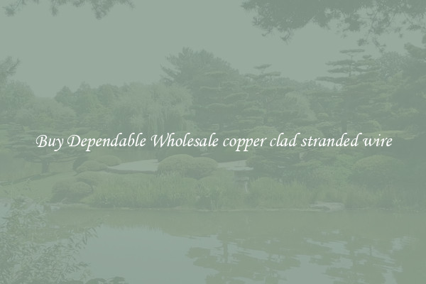 Buy Dependable Wholesale copper clad stranded wire