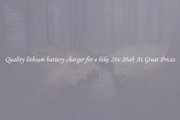 Quality lithium battery charger for e bike 24v 20ah At Great Prices