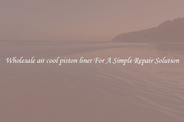 Wholesale air cool piston liner For A Simple Repair Solution