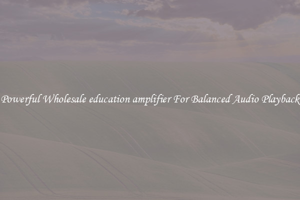 Powerful Wholesale education amplifier For Balanced Audio Playback