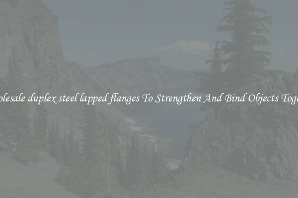 Wholesale duplex steel lapped flanges To Strengthen And Bind Objects Together