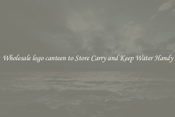 Wholesale logo canteen to Store Carry and Keep Water Handy
